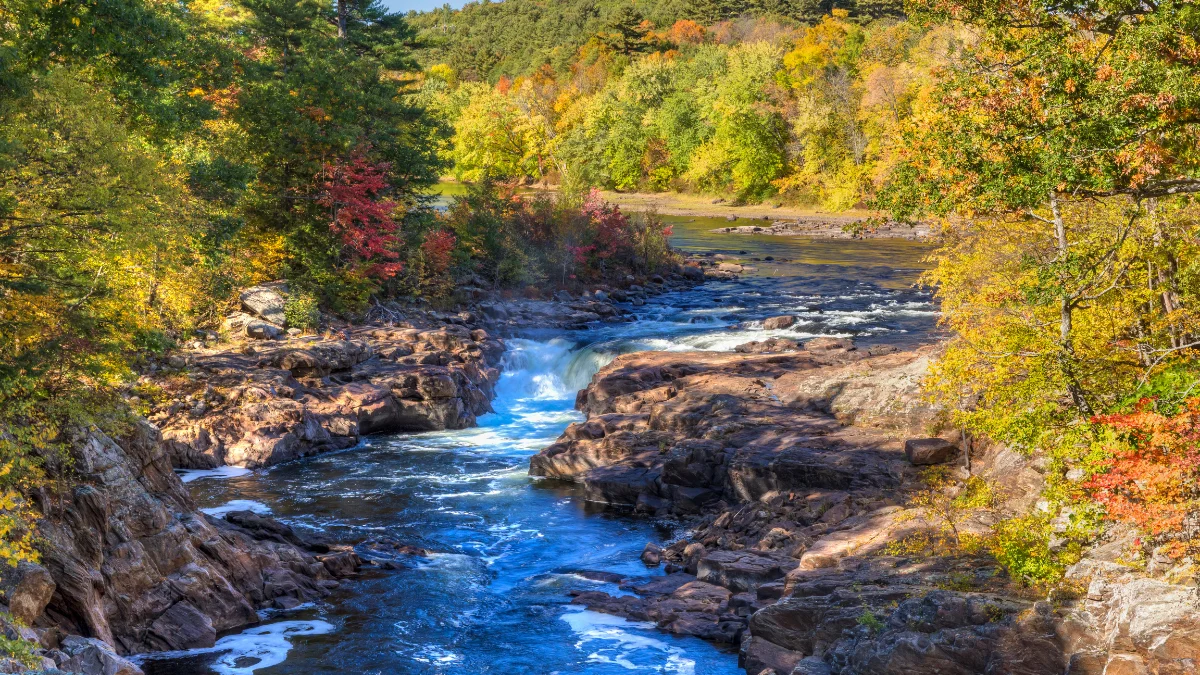 Rockwell Automation Careers Join the Leader in Industrial Automation Tech Info LoverRockwell