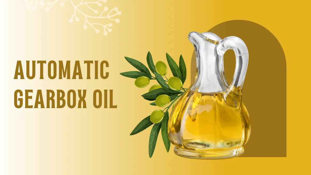 How Do You Know If Your Automatic Gearbox Oil Needs Changing (2024)